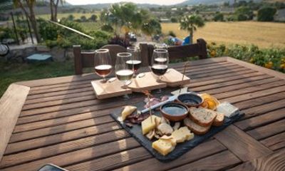 Vineyard Wine Tasting Private Tour from Luzern