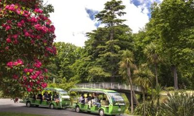 Christchurch Botanic Gardens Tour