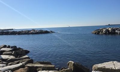 Livorno One Hour Golf Cart Tour