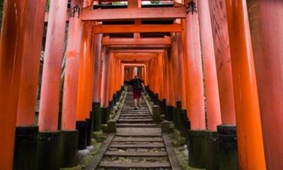 Kyoto Bus Tour from Osaka by Train: Nijo & Bamboo grove