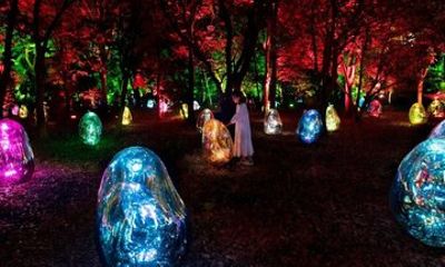 TeamLab Botanical Garden Osaka Interactive Light Art Ticket