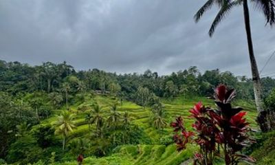 Customizable 10 Hour Private Bali Customizable Tour with Driver