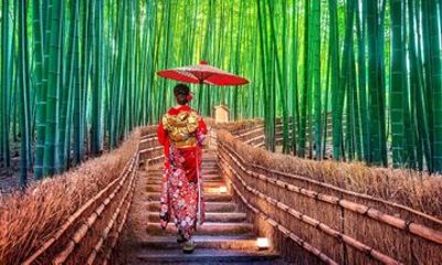 Kyoto & Nara: Private Custom Day Tour with Car & Hotel Pickup