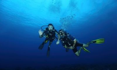 Go Scuba Diving Today! No Experience or Certification Needed
