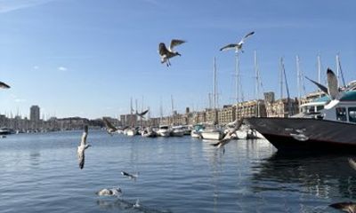 Guided tour in the heart of Marseille