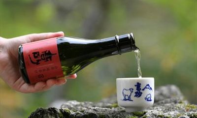 Fujinomiya: Fuji Takasago Sake Brewery Tour & Tasting
