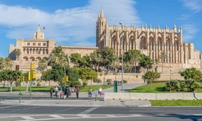 Car Tour in Puerto de Palma Palma