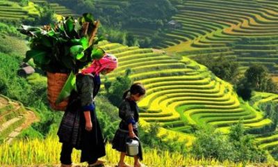 Private Transfer Noi Bai Airport and Sapa