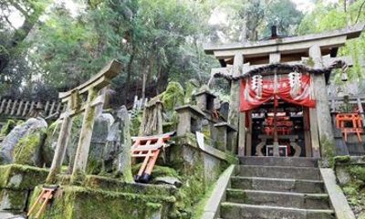 Fukuoka Sacred Sites Experience with Private AC Car and Guide
