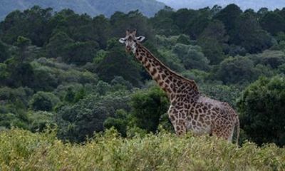 Arusha National Park