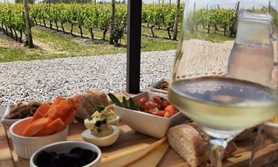Winery and Wine Tasting Tour