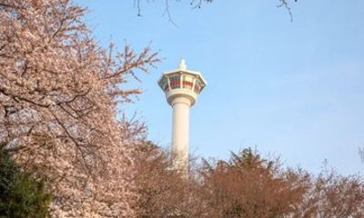 Busan Tower Ticket