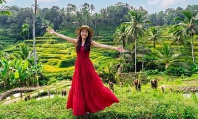 Ubud Monkey Forest Rice Terrace Waterfall Day Tour Bali