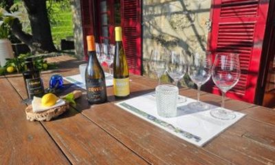 Tour Privado de Amarante e Vinho Verde com partida do Porto