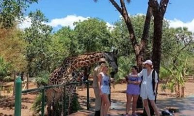 Diani Beach Village Tour and Wildlife Park Day Trip