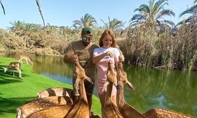 Africano Park Safari Family Friendly Animal Adventure