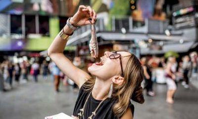 Rotterdam Walking Tour with Audio Guide on Your Smartphone