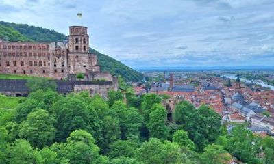 Premium tour with city and castle and Königstuhl Panorama