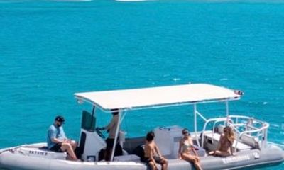 VIP Sea Turtle Snorkel Adventure