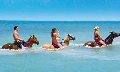 Safe and Reliable Airport Private Transfer Montego Bay Jamaica