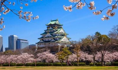 Osaka Port Cruise Terminal Transfer to and from Osaka Hotels