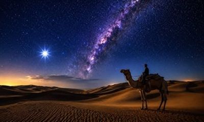 Doha Night Desert Safari Dune Bashing Camel Ride and Stargazing