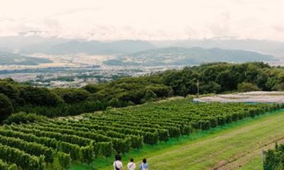Nagano Private Winery Tour with Complimentary Transport