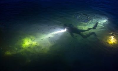 Night Diving and Snorkeling Adventure in San Juan