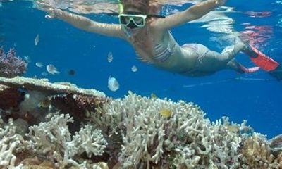 Snorkeling and Lighthouse Tour in Huatulco Delivery