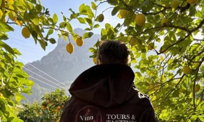 Private Tour Mallorca's West Coast and Orange Valley