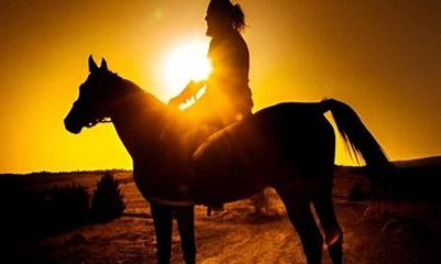 Horseback Ride in Punta Cana with Macao Coast Views