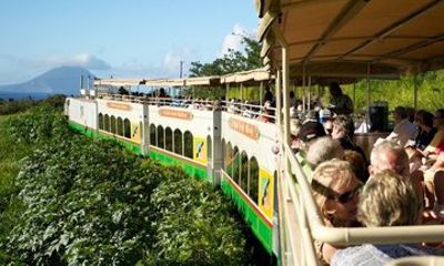 Sugar Train Tour and Drinks with Cruise Port Pickup