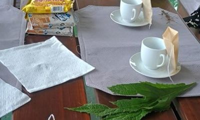 La Fortuna Herbal Tea Experience and Medicinal Plant Tour