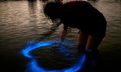 Bioluminescence Tour in Puerto Escondido