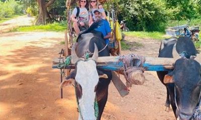 4 Days Sri Lanka Hidden Heritage Culture and City Tour