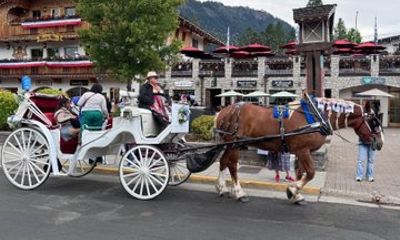 Leavenworth Day Trip from Seattle with Scenic Cascade Mountains