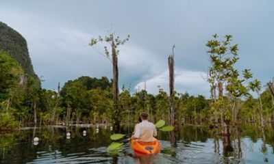Mirror Lake Kayaking and Pineapple Farm Experience