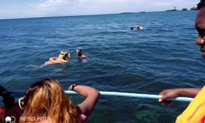 1 Day Wasini Snorkelling Tour
