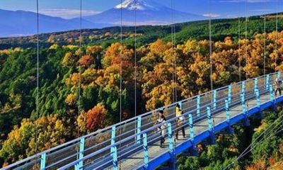 Tokyo to Mishima Skywalk Guided Tour