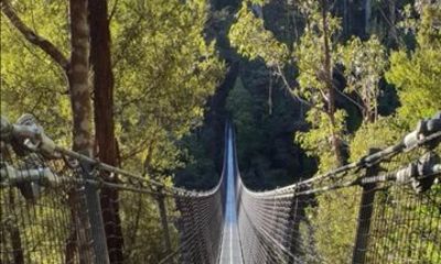 From Hobart Huon Valley Ciders AirWalk and Hastings Cave