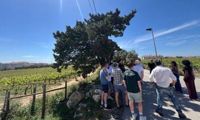 Cascais Half Day Wine Tasting Tour