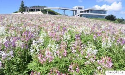 Awaji Loved by Fragrance Scented 1 Day Bus Tour from Osaka