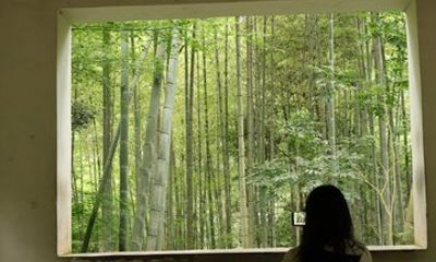 Hangzhou Half Day Tour in Pagoda Bamboo Grove and Old Street