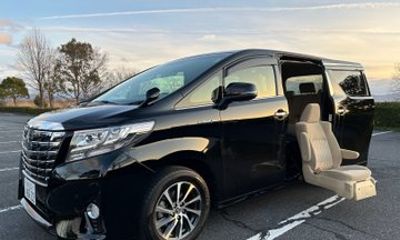 1 Day Kyoto Tour with a Driver English and Wheelchair Available
