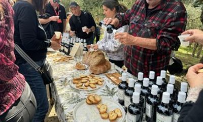 Tricarico Olive Oil Tasting with Private Transfer from Matera