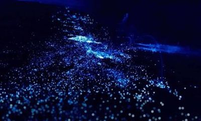 Bioluminescence Kayak Activity in the San Juan Islands