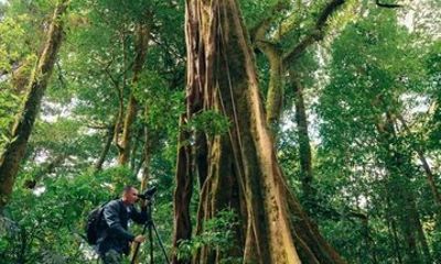 Curicancha Monteverde Nature Walk