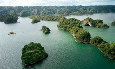 Los Haitises National Park Day Trip from Punta Cana