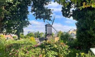 Discover Leiden: From Pilgrims to Painters in Historic Key City