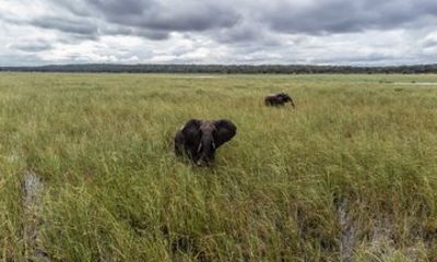 Maputo Special Reserve Full Day Safari via Open Vehicle